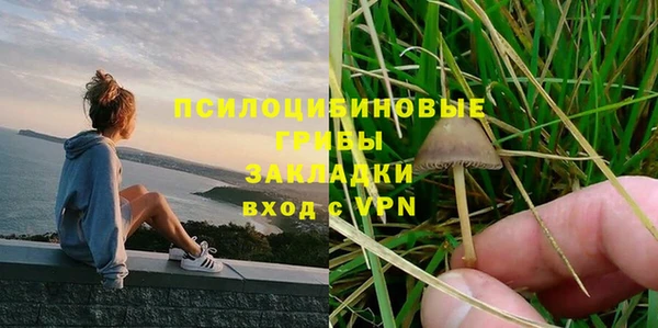 мяу мяу мука Алексеевка